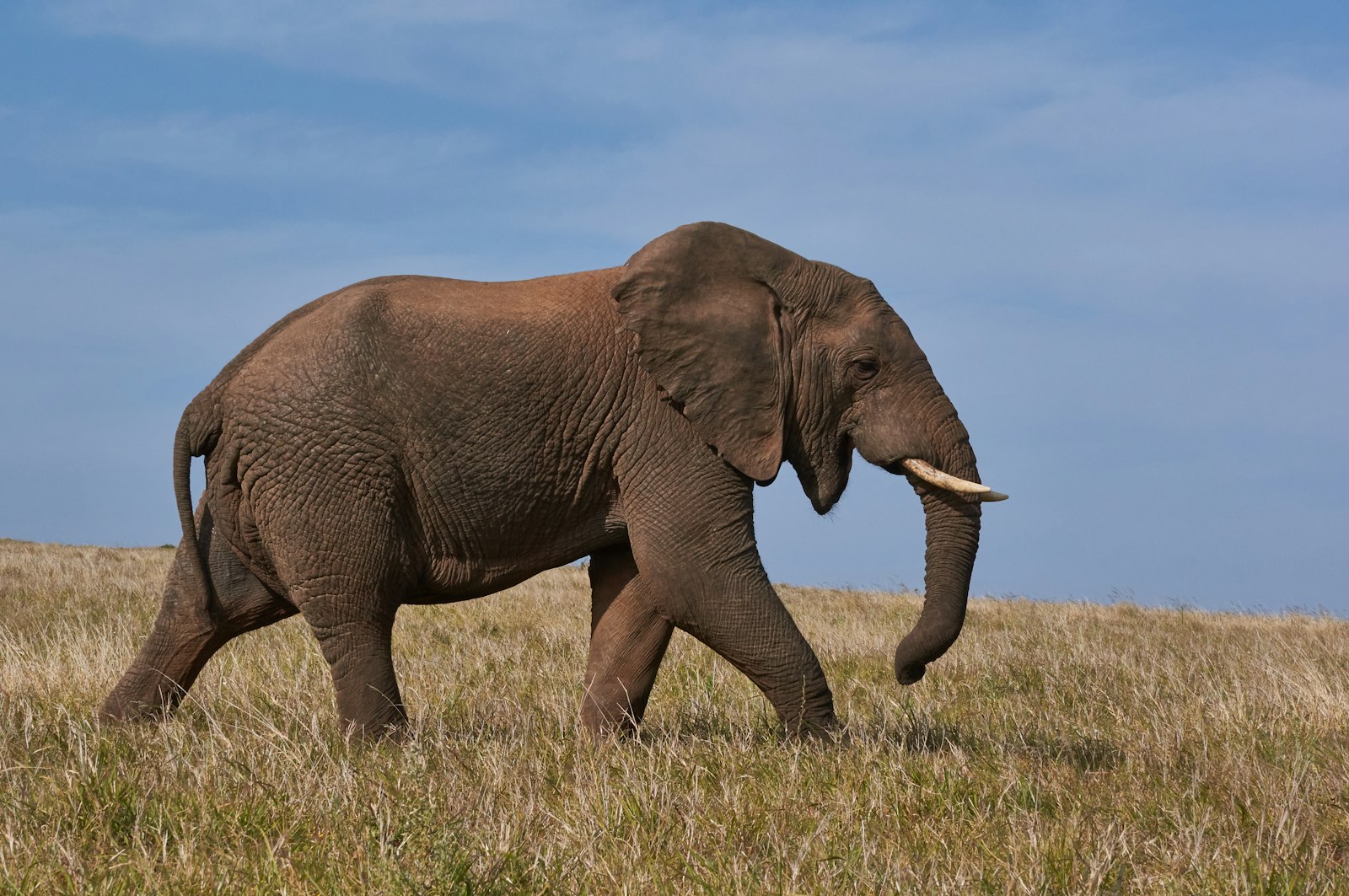 Database migration to PostgreSQL